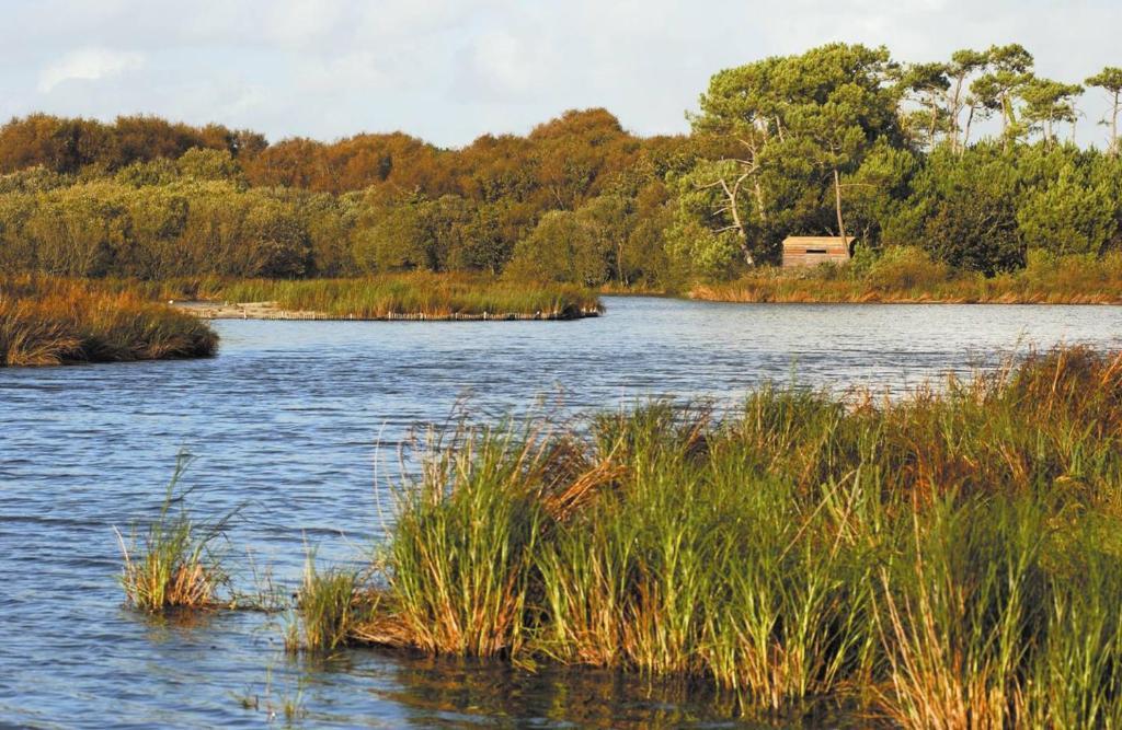 Camping Kost Ar Moor Fouesnant Esterno foto